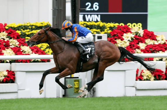 今晚晚开什么特马跟正版香港全年资料大全_背后隐藏着怎样的故事;引起广泛讨论的事件、解析解释落实