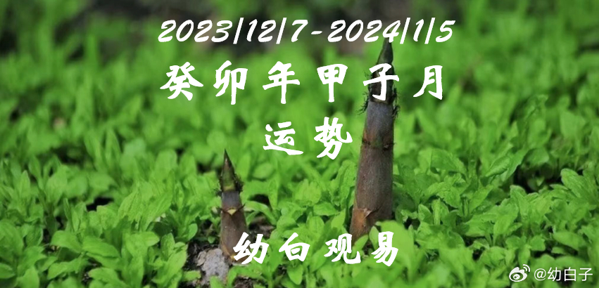 管家婆一肖一码100%准确澳门或2025年新奥管家婆_牵动心弦的故事;是否让你感动、无限解释落实
