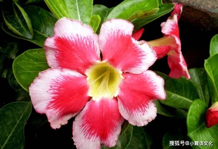 第1699页