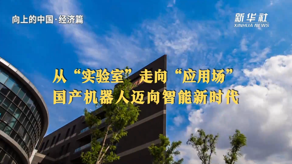 梧桐树保险网站，保险新时代的领航者 梧桐树保险网站