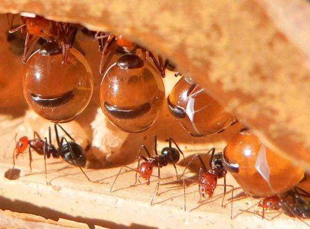 天储财富，引领理财新时代的财富管理公司 天储财富是理财公司