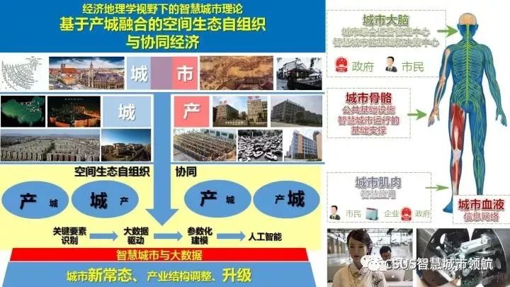 定州333理财，一种新型理财模式的探索与实践 定州333理财