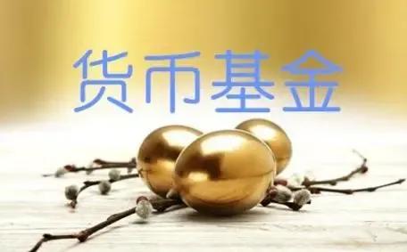 理财投资之路，探索固定收益类基金的魅力与策略 理财投资固定收益类基金
