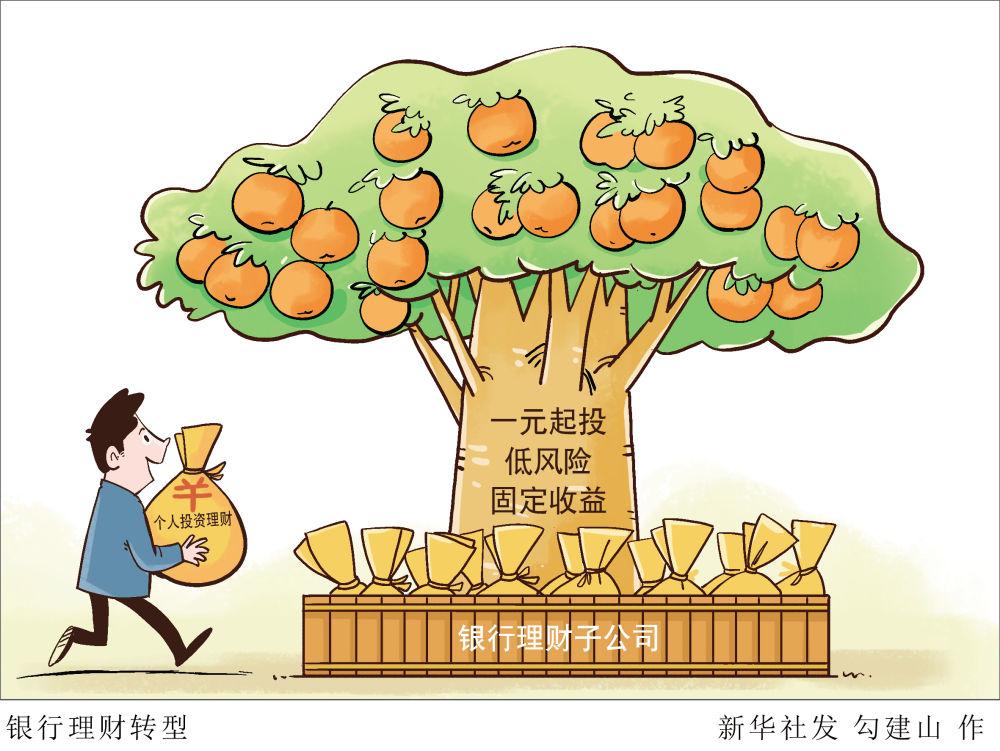 年底理财产品安全性的深度解析 年底理财产品安全吗