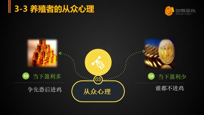 小鸡下蛋理财，从微观到宏观的财富增长策略 小鸡下蛋理财