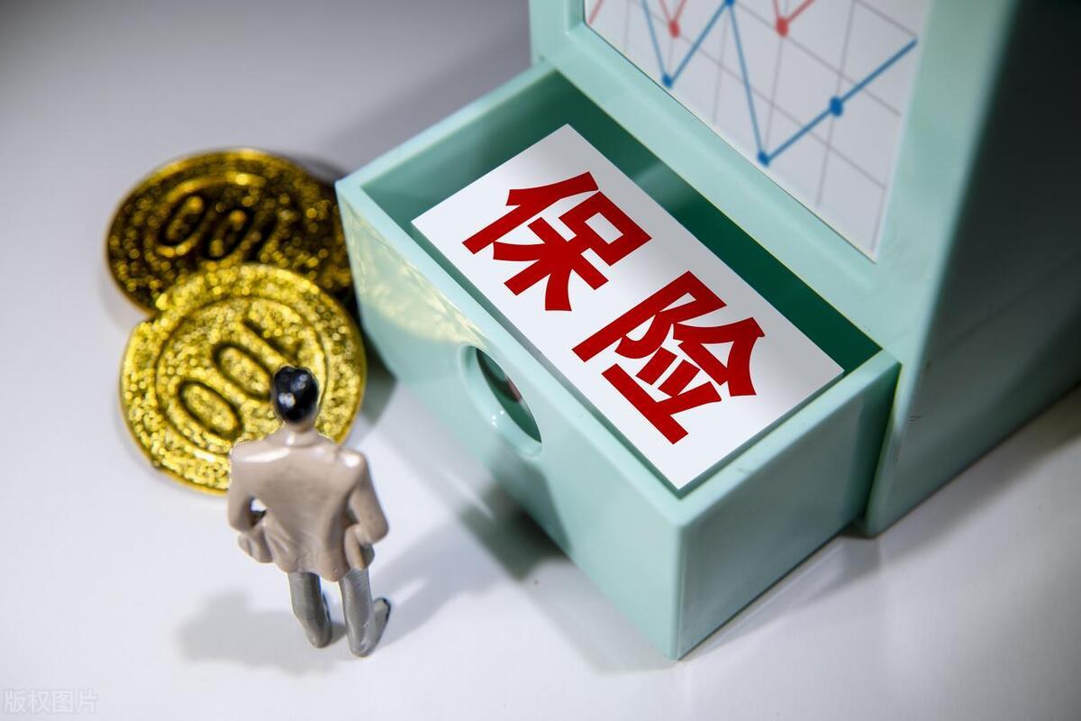 梧桐理财与股票市场的深度解析 梧桐理财股票
