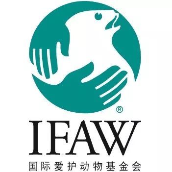 全球动物基金会排名及影响力分析 动物基金会排名